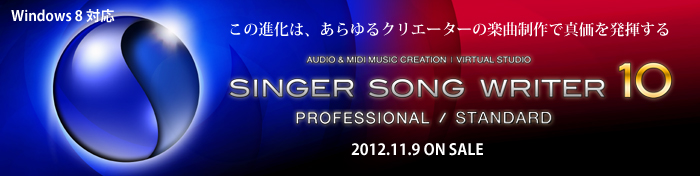 Singer Song Writer 10 Professional/Standard