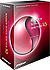 Singer Song Writer 10 Standard