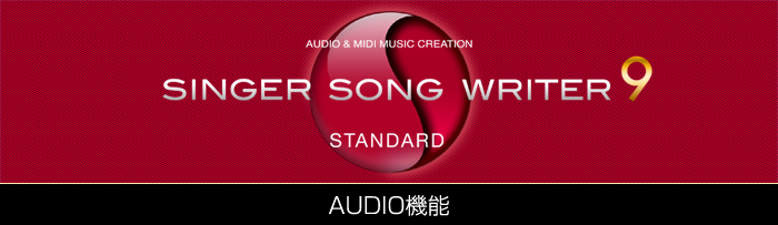 ȃ\tgEy쐬\tg Singer Song Writer  9 Standard